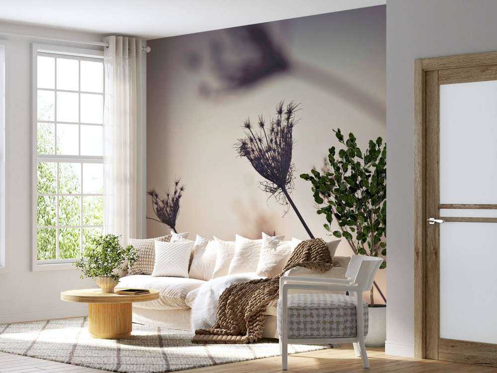 Silhouette di piante