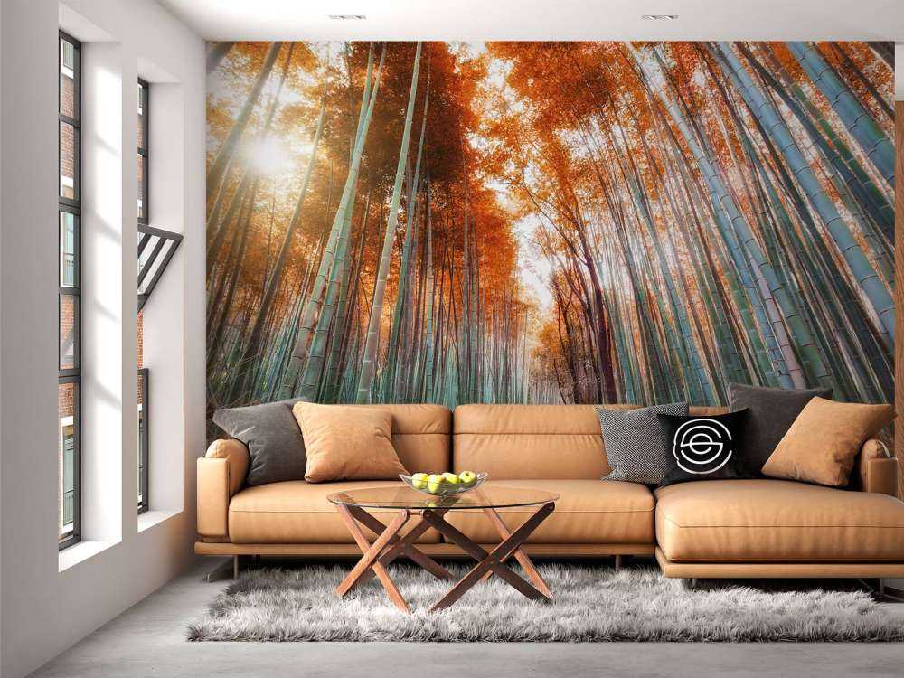 Autunno foresta di bambù