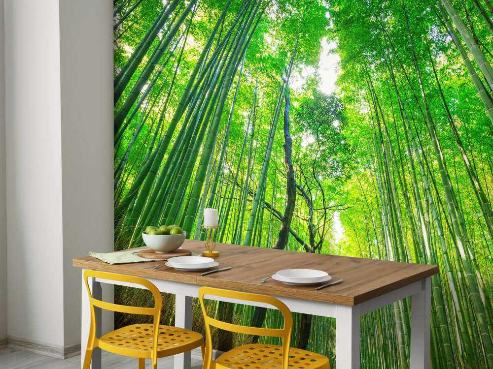 Foresta di bambù di Arashiyama