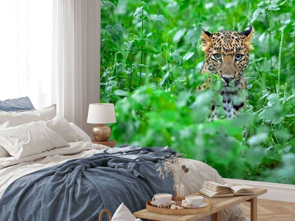 Leopardo nella foresta