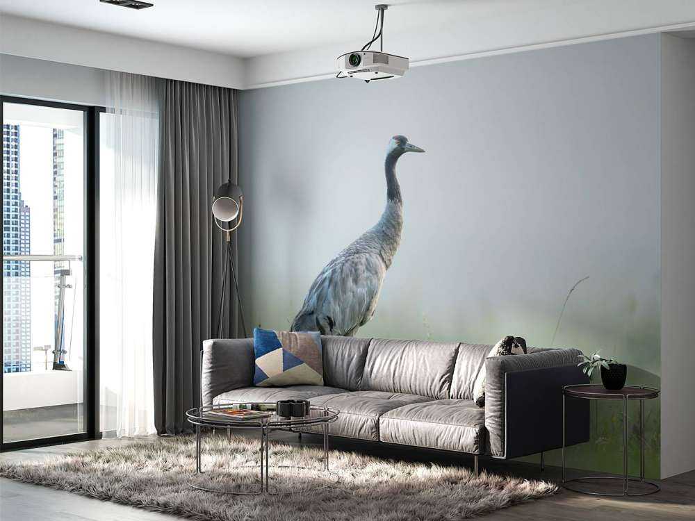 Gru nella nebbia del mattino