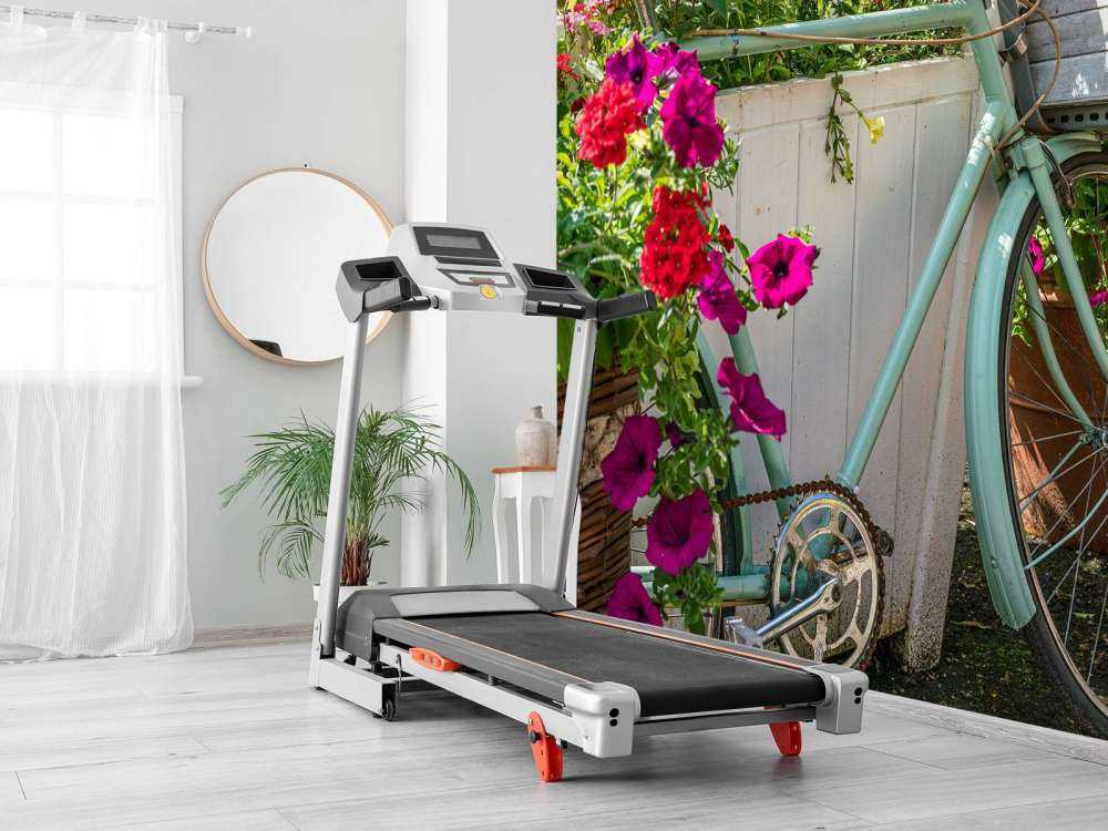 Vecchia bicicletta con fiori