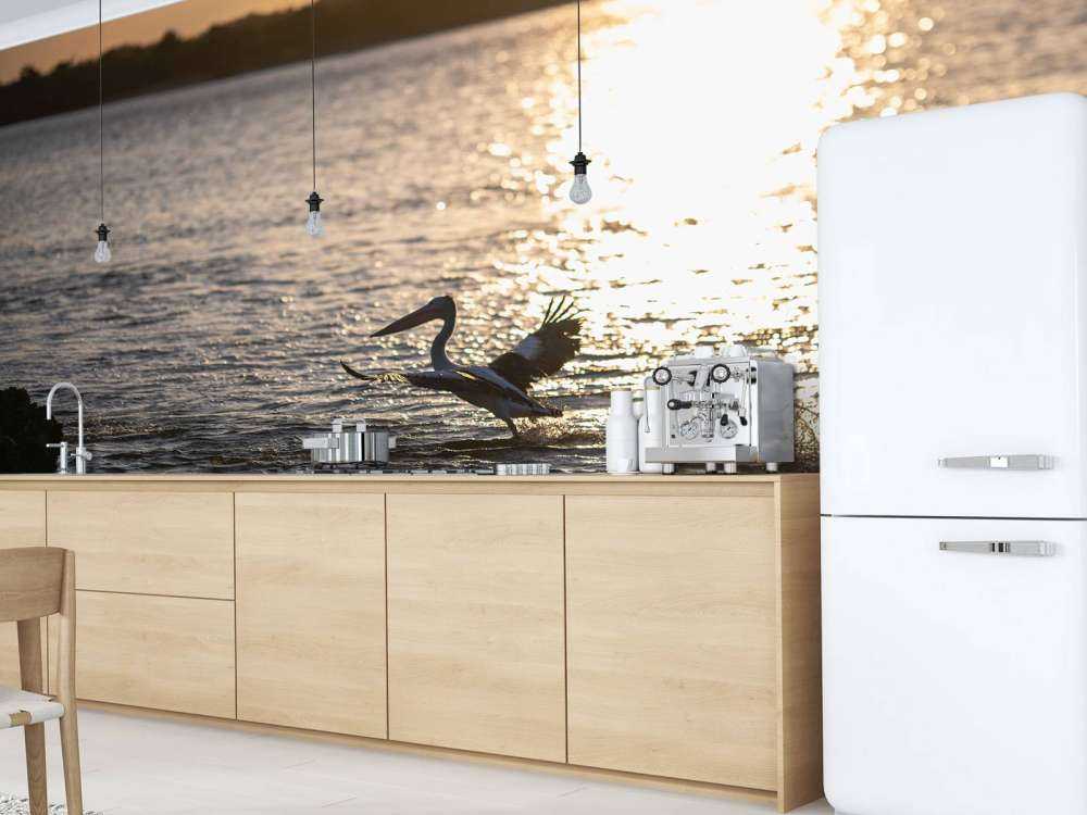 Pellicani al tramonto