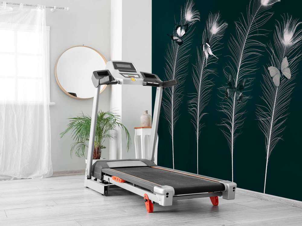 Farfalle su piume di pavone