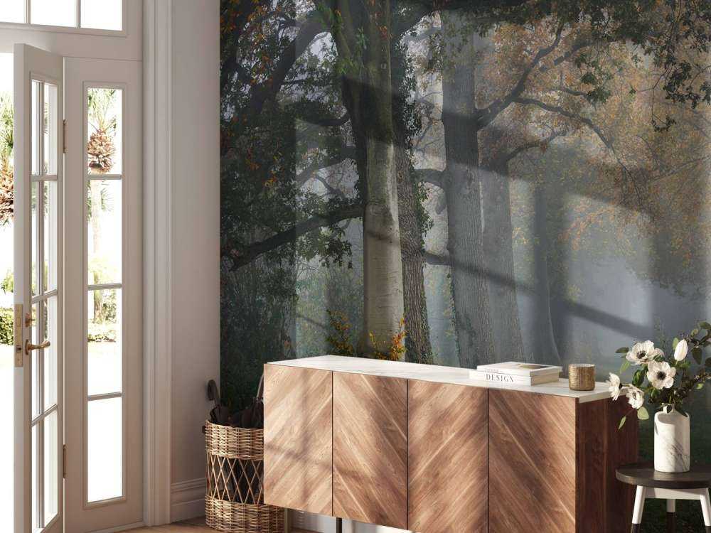 Corsia con alberi nella nebbia