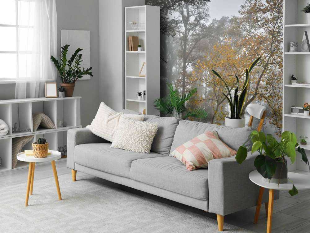 Campo di erba con alberi e nebbia