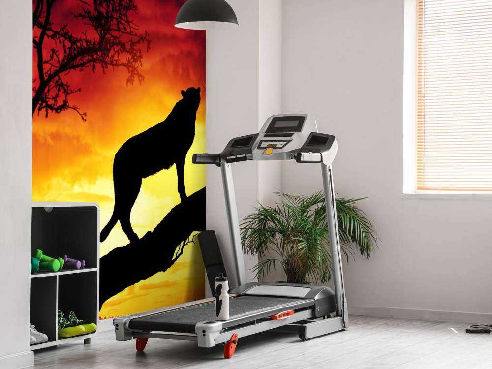 Ghepardo su un albero