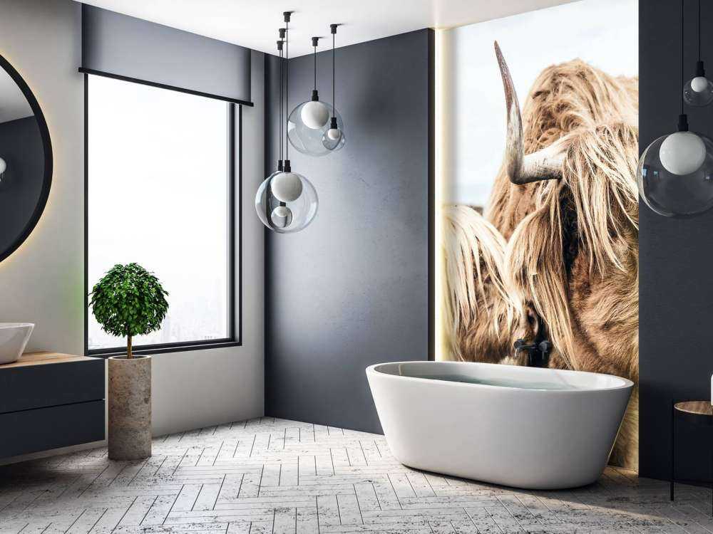 Due Highlander scozzesi