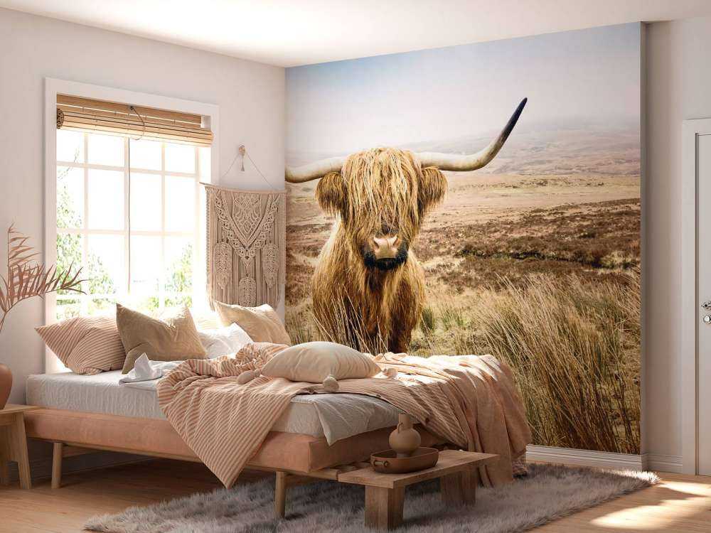 Highlander scozzese con canna