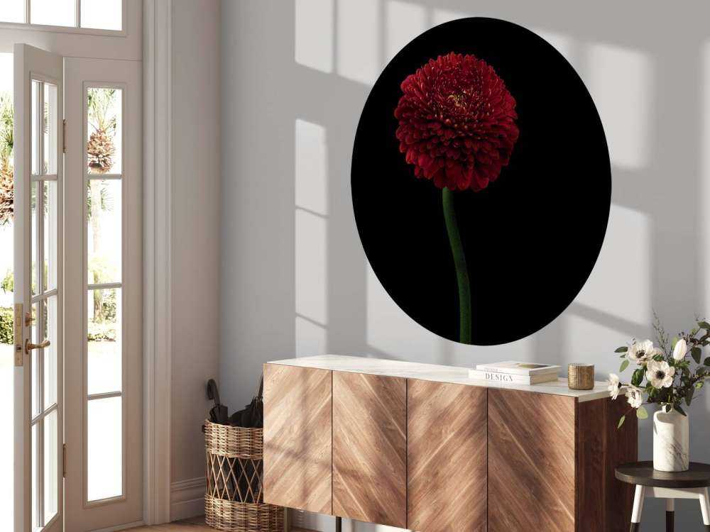 Fiore rosso su stelo