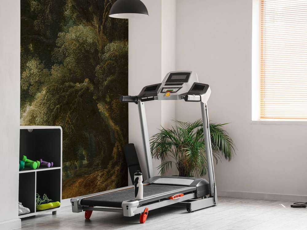 Paesaggio forestale immaginato