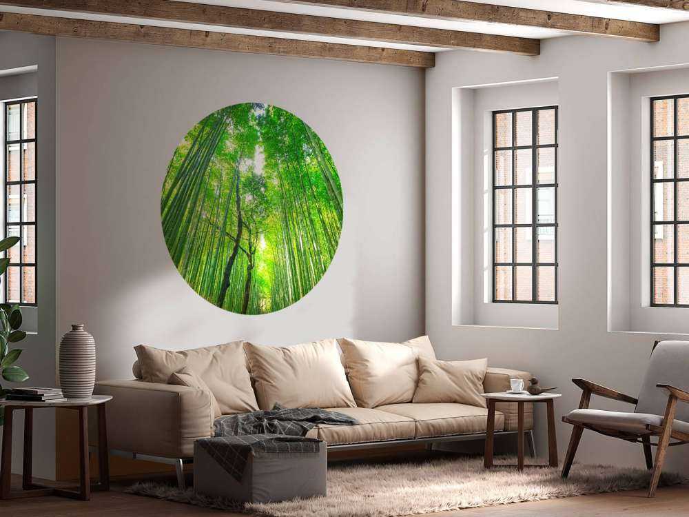 Foresta di bambù di Arashiyama