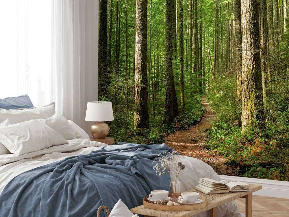 Sentiero nella foresta