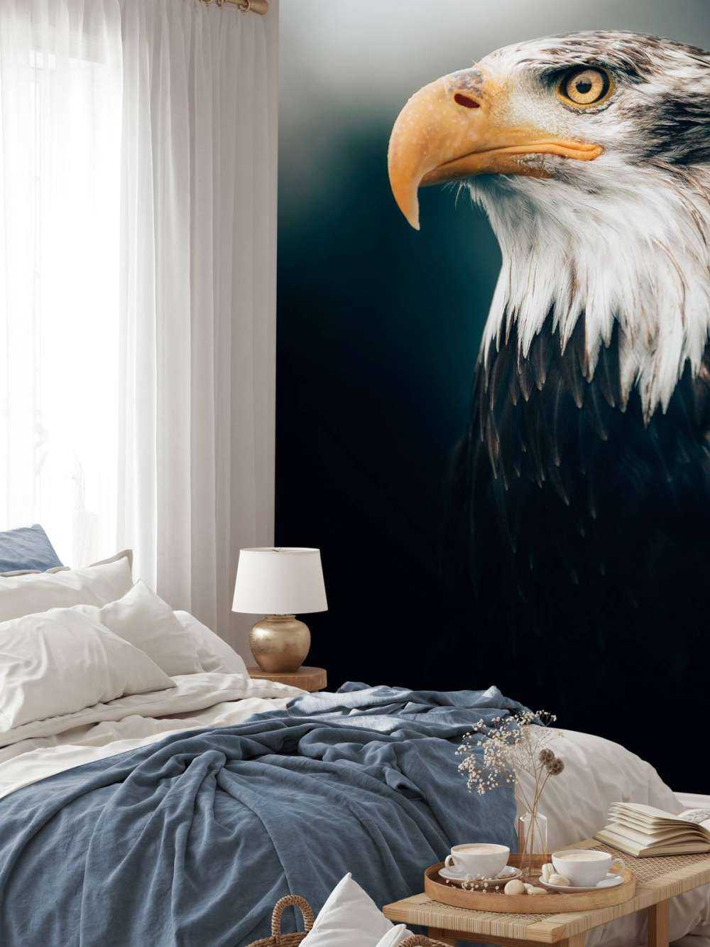 Aquila di mare primo piano