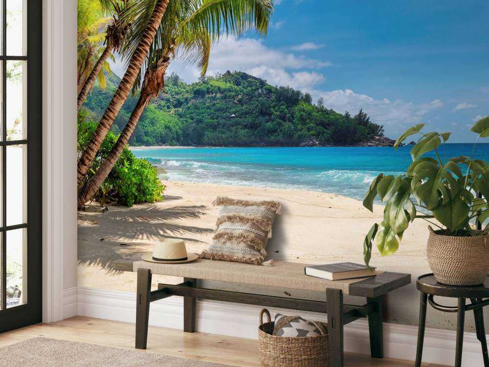 Bella spiaggia con palme