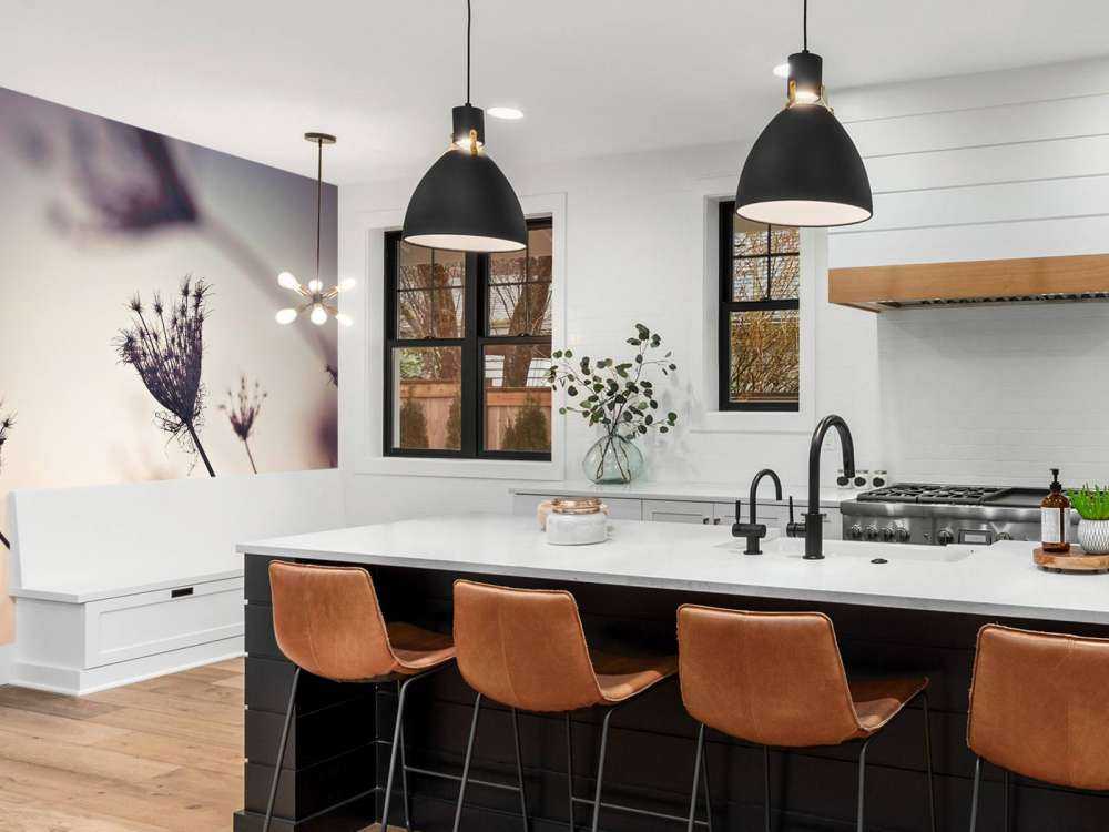 Silhouette di piante