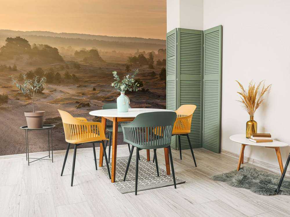 Sabbia di Kootwijker