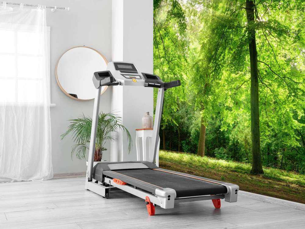 Foresta con nebbia leggera