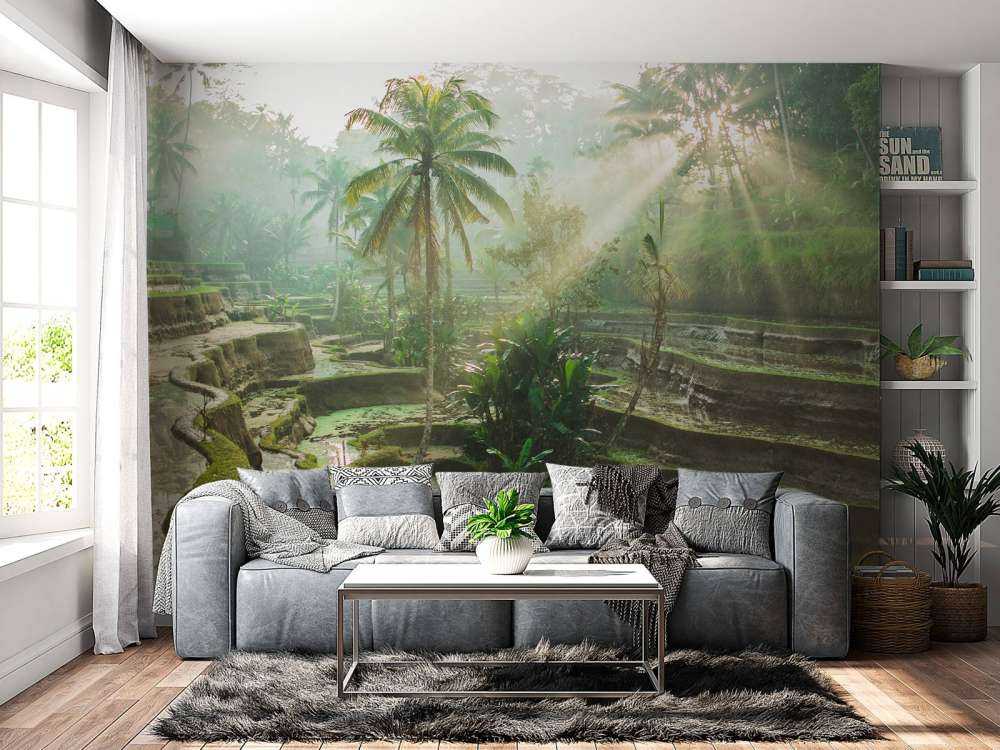 Campi di riso nella giungla