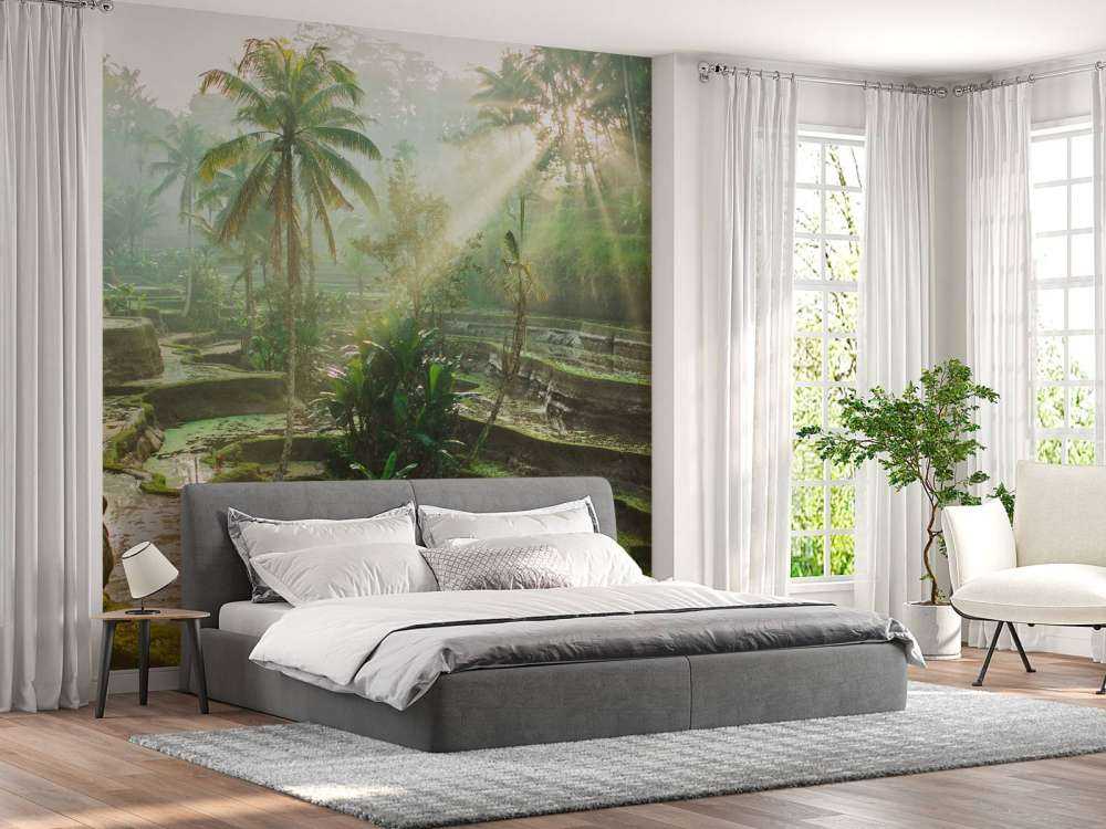 Campi di riso nella giungla