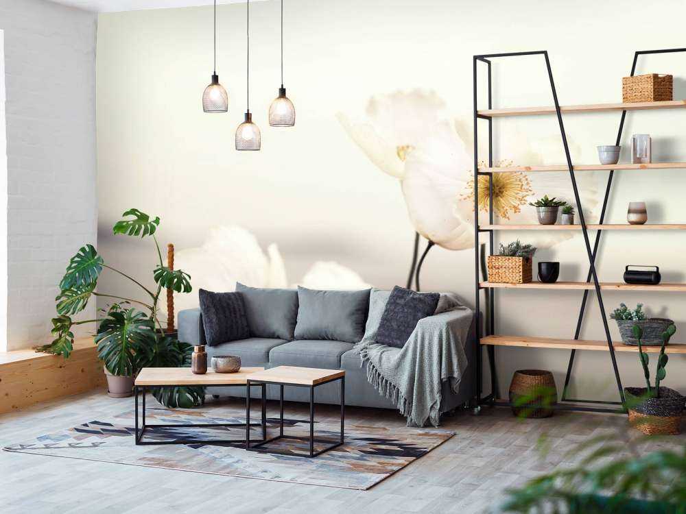 Papaveri bianchi in primo piano