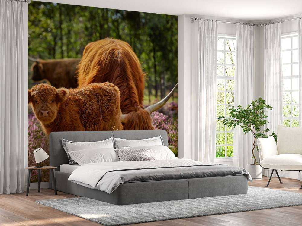 Famiglia Scozzese Highlanders