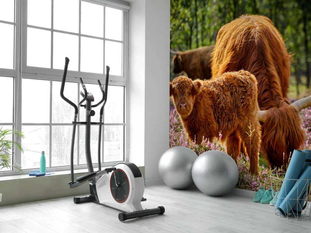 Famiglia Scozzese Highlanders