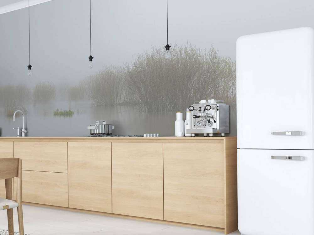 Nebbia nella riserva naturale