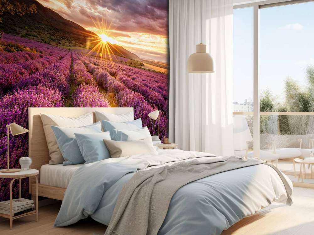 Lavanda sotto il sole