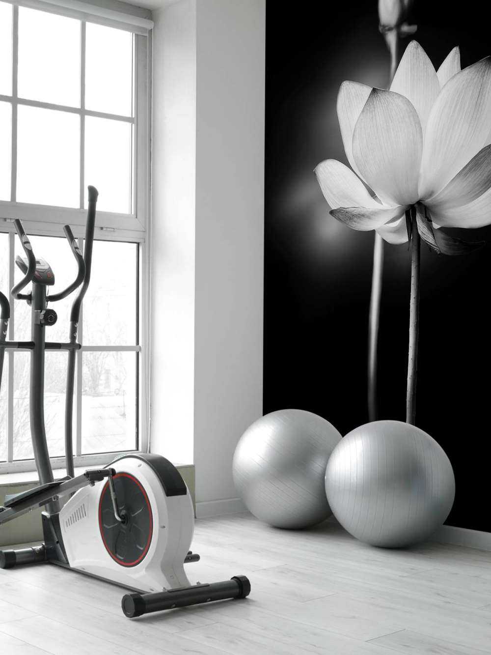 Fiori di loto bianco e nero