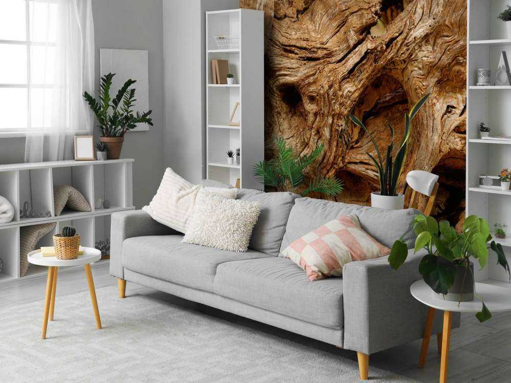 Vecchio albero da vicino