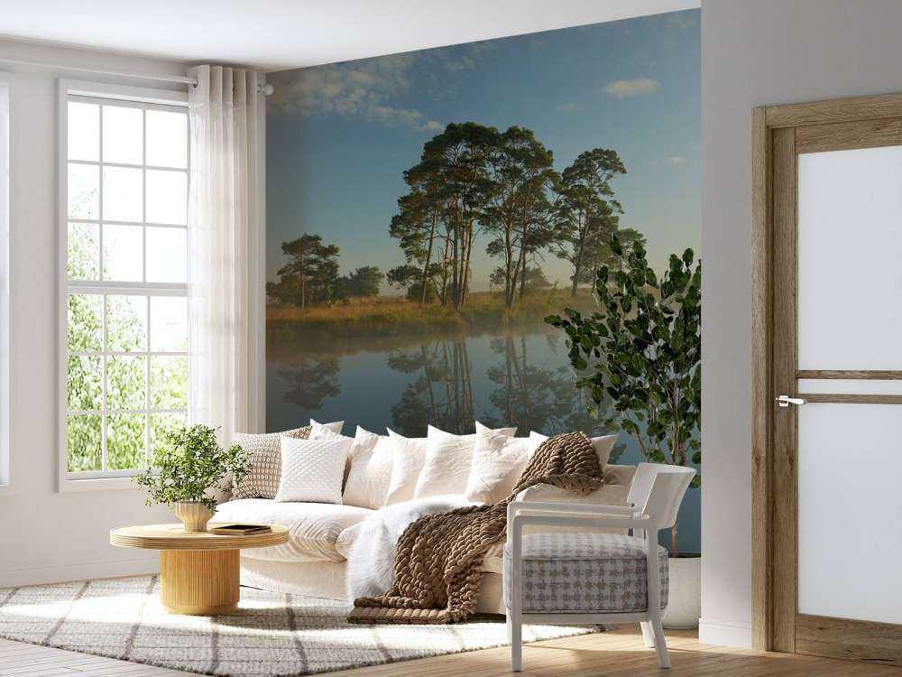 Riflessione nella brughiera