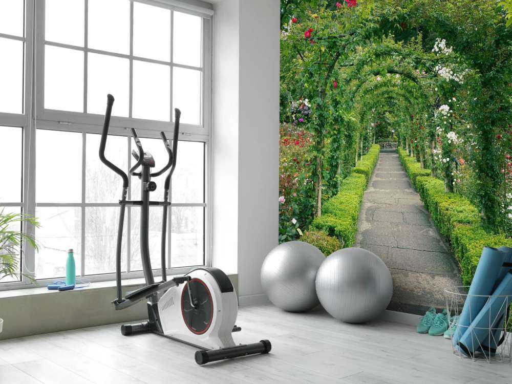 Sentiero attraverso il roseto