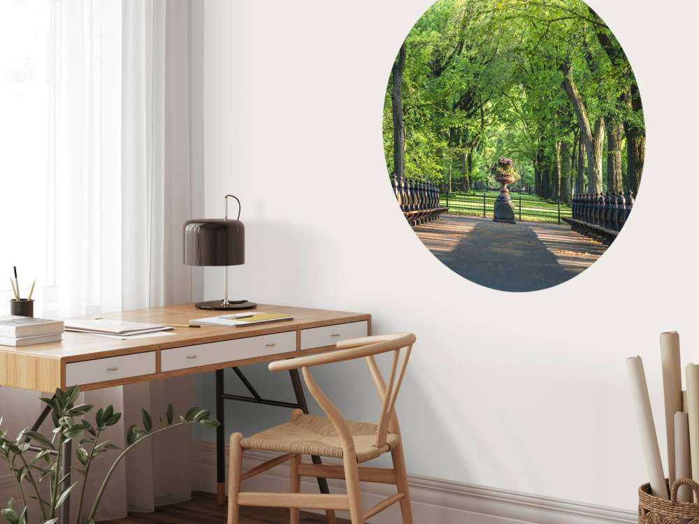 Sentiero a Central Park