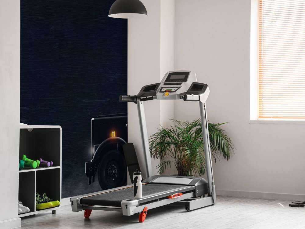 Camion bianco e nero