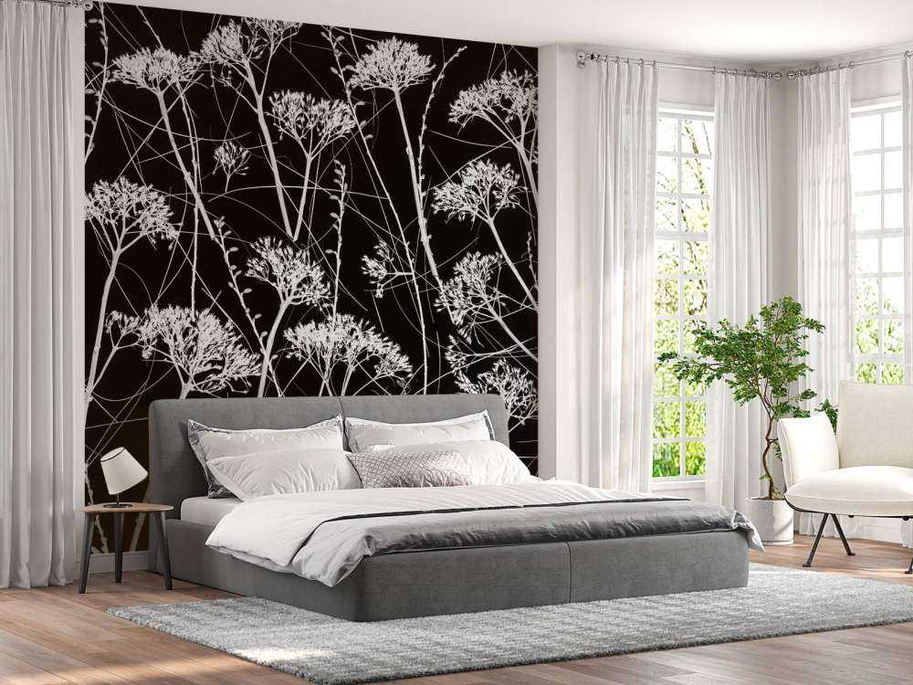 Silhouette di piante secche