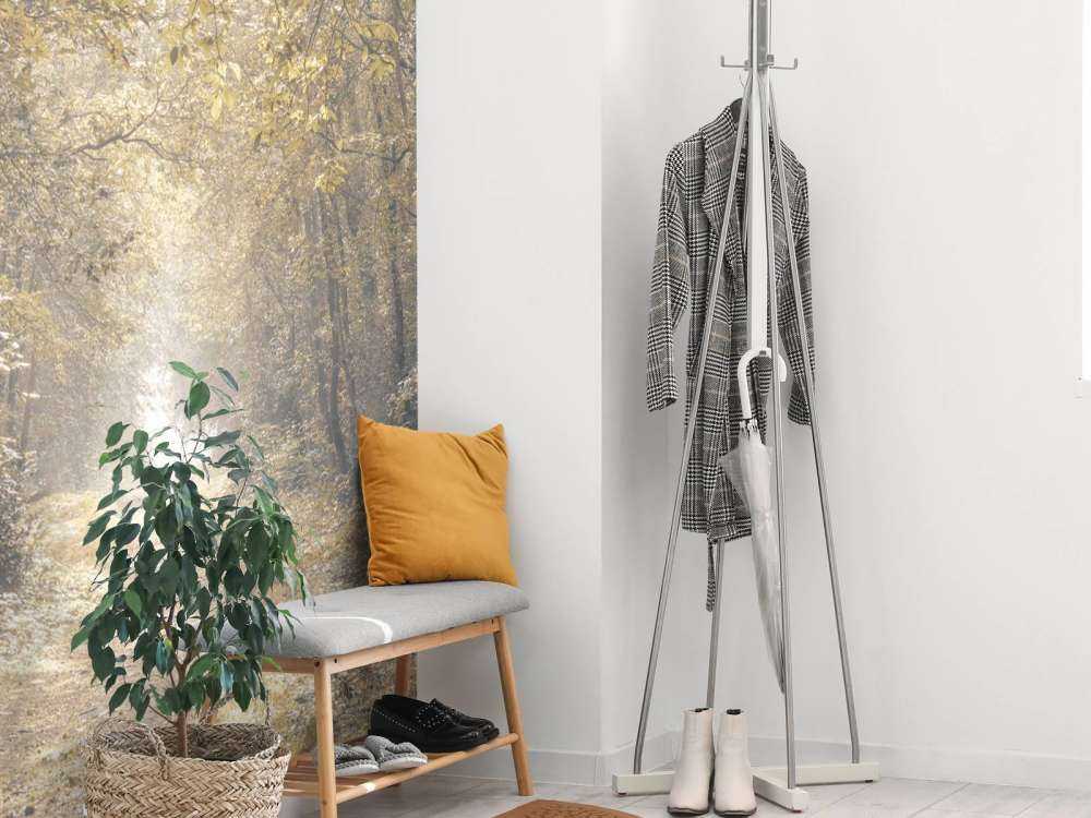 Sentiero attraverso una foresta deserta