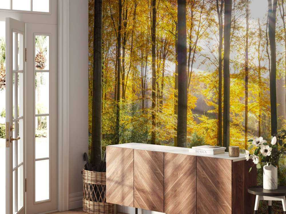 Giornata di sole autunnale