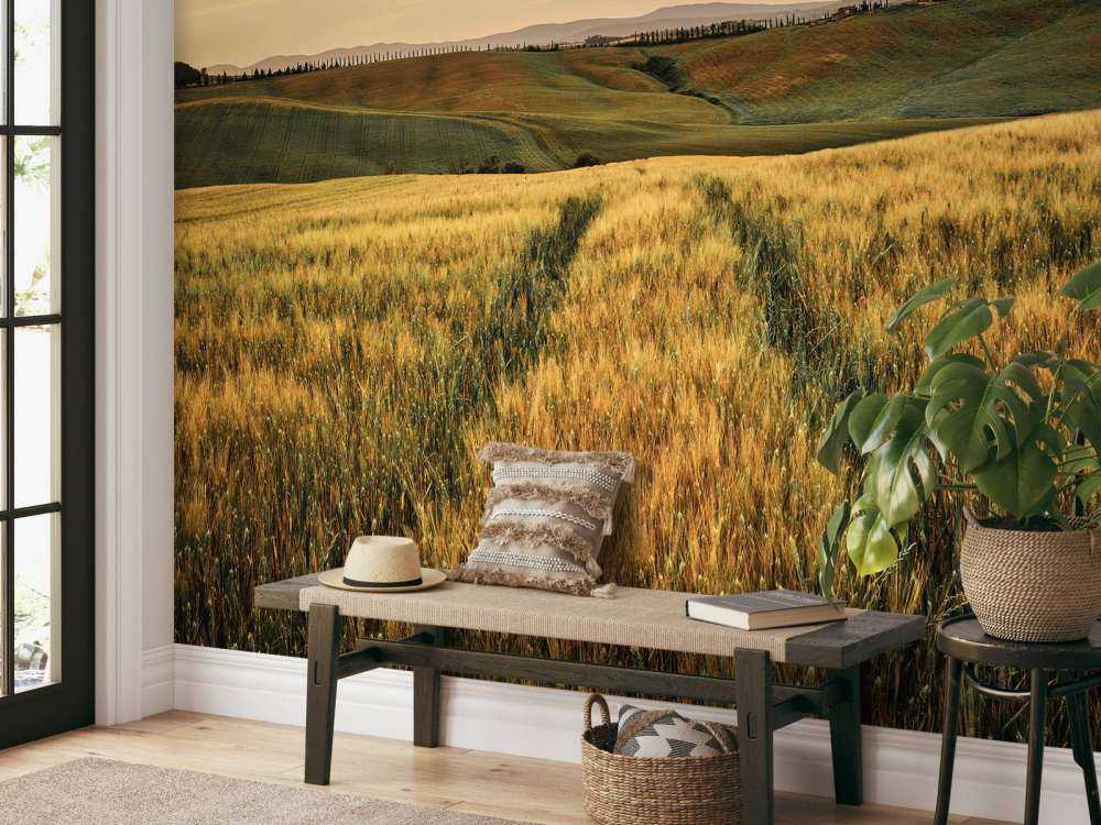 Campo di grano con binari