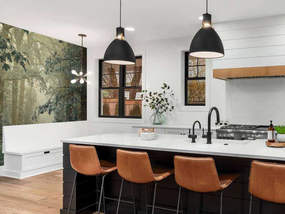 Sentiero nella foresta con nebbia