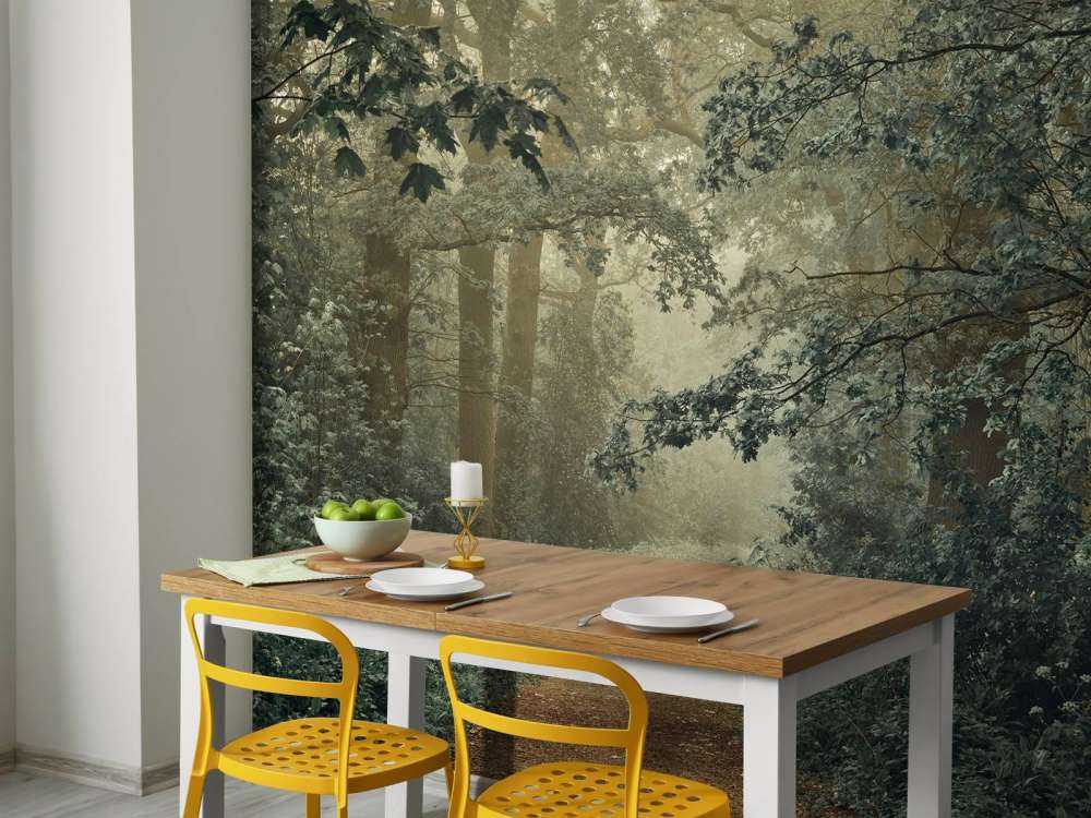 Sentiero nella foresta con nebbia