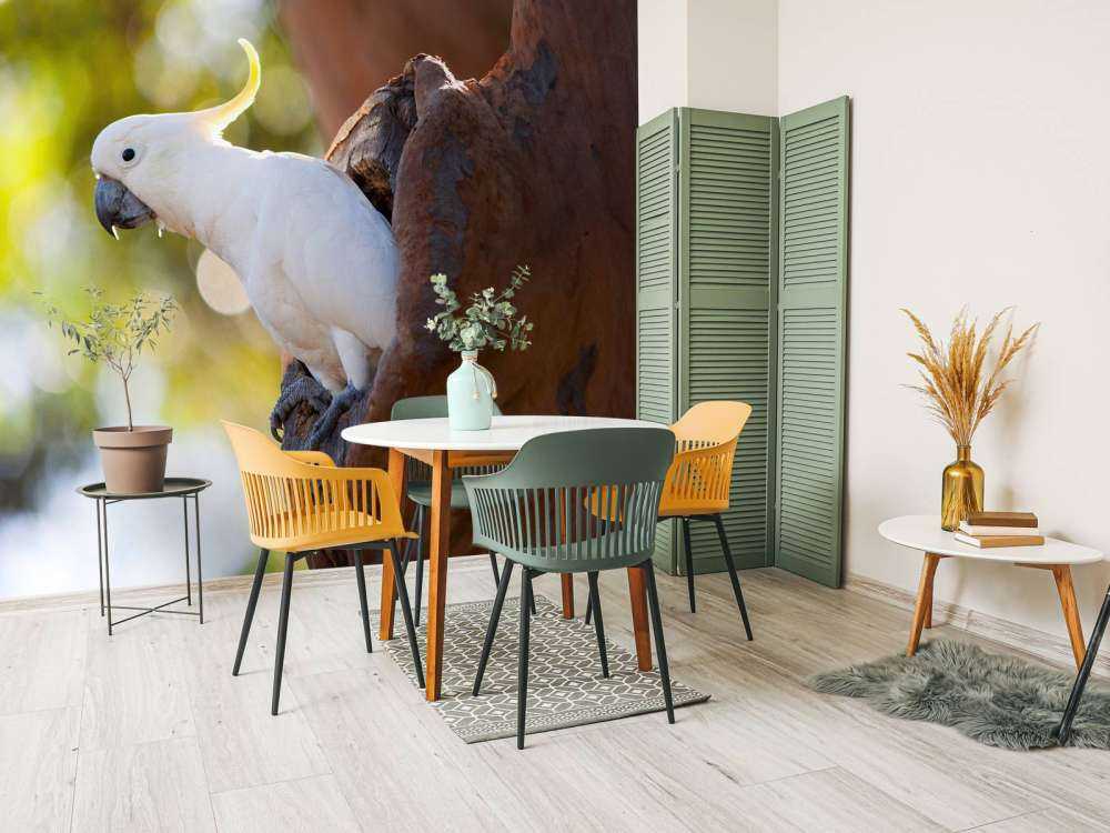 Cacatua in cavità dell'albero