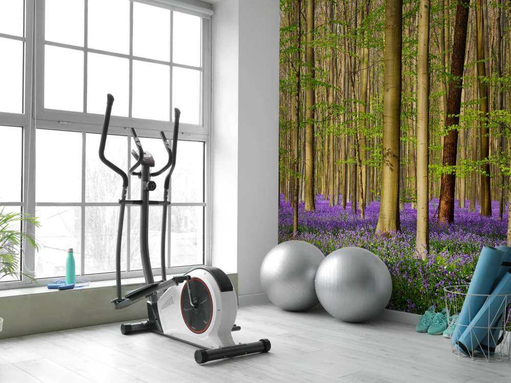 Foresta con giacinti di bosco