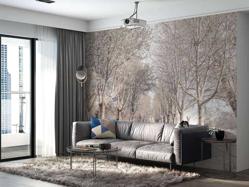 Sentiero tra gli alberi