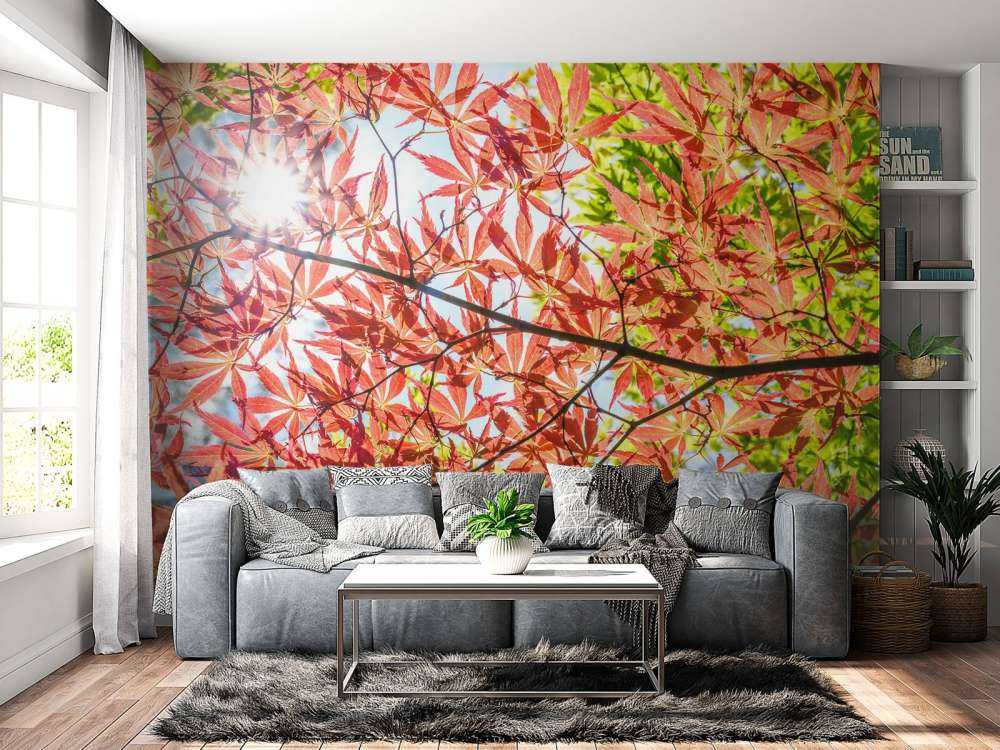 Foglie rosse d'autunno