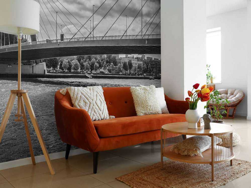 Passaggio del ponte Principe Willem Alexander a Rotterdam in bianco e nero