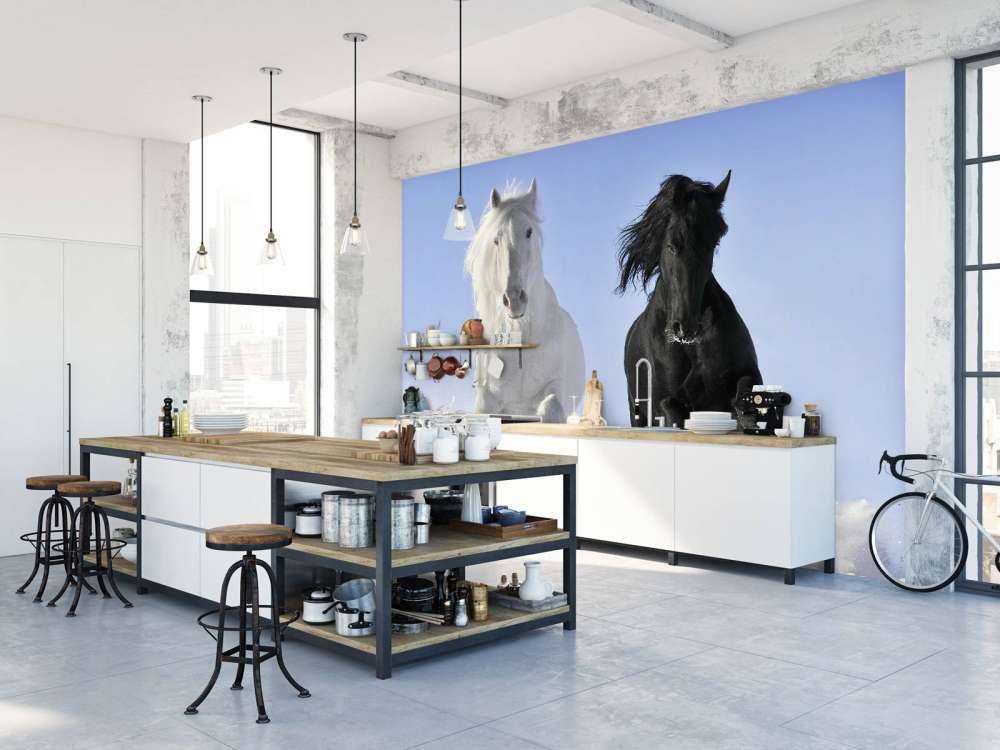 Bianco e cavallo nero