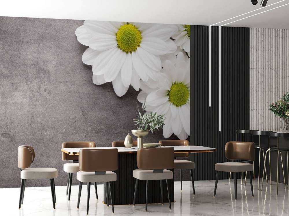 Margherite e calcestruzzo