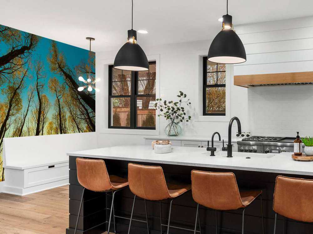 L'alba tra alberi ad alto fusto