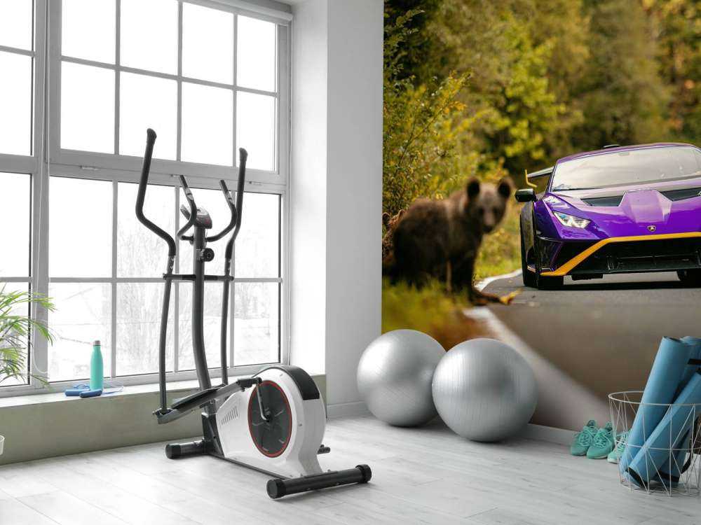 Lamborghini vs. natura selvaggia